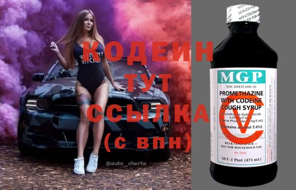 гидра Коряжма