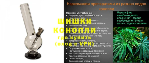 гидра Коряжма