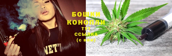 гидра Коряжма