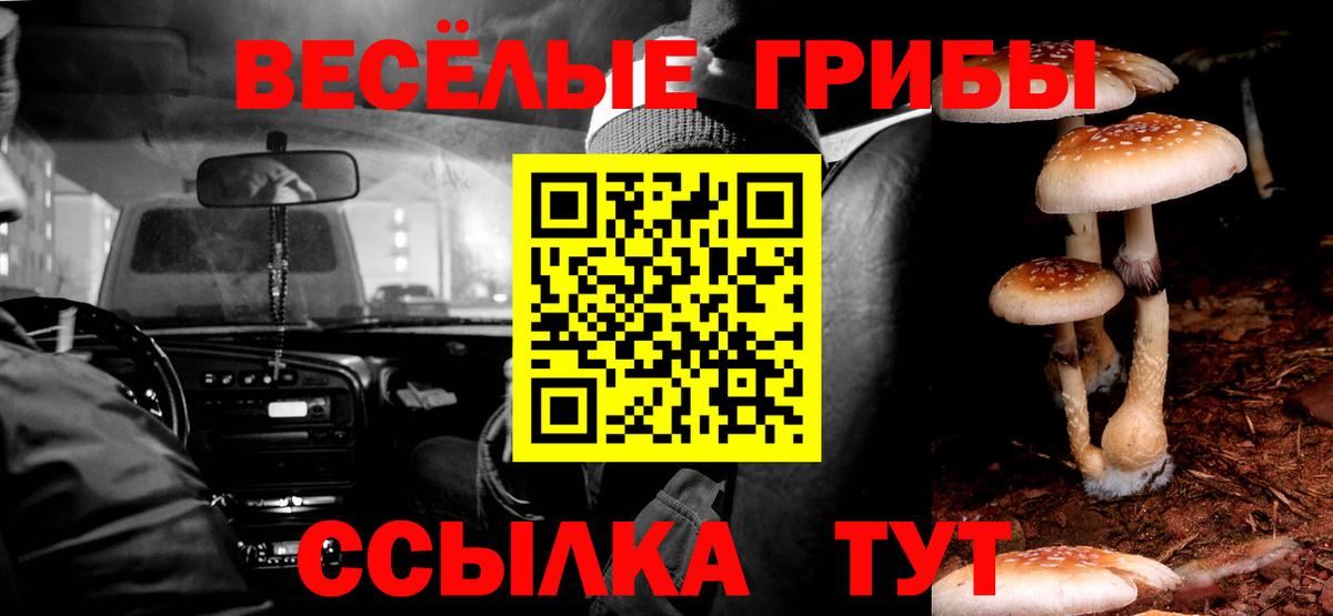 Галлюциногенные грибы Cubensis  Чапаевск 