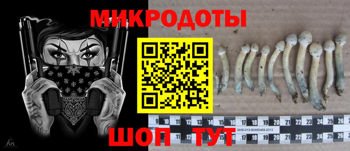 Галлюциногенные грибы Magic Shrooms Чапаевск